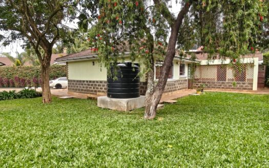 3 bedroom bungalow plus DSQ to let in Karen